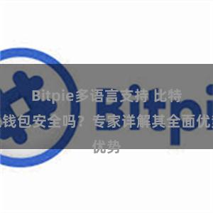 Bitpie多语言支持 比特派钱包安全吗？专家详解其全面优势