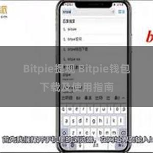 Bitpie提现 Bitpie钱包下载及使用指南