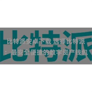 比特派安卓下载 选择比特派：最安全便捷的数字资产钱包