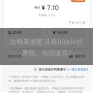 比特派加密 选择Bitpie的原因，你知道吗？