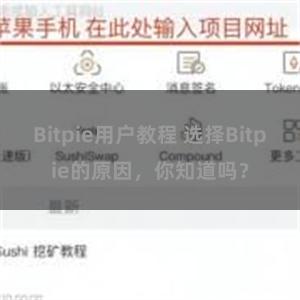 Bitpie用户教程 选择Bitpie的原因，你知道吗？