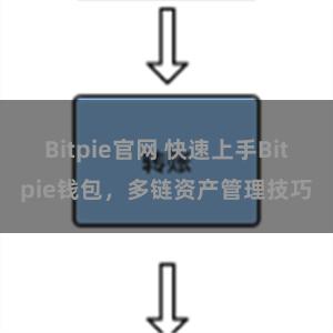 Bitpie官网 快速上手Bitpie钱包，多链资产管理技巧