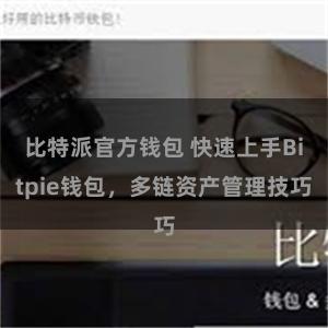 比特派官方钱包 快速上手Bitpie钱包，多链资产管理技巧