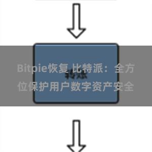 Bitpie恢复 比特派：全方位保护用户数字资产安全