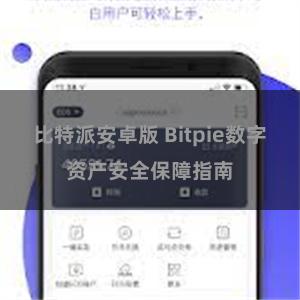 比特派安卓版 Bitpie数字资产安全保障指南