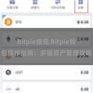 Bitpie提现 Bitpie钱包操作指南：多链资产管理攻略