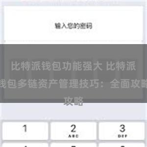 比特派钱包功能强大 比特派钱包多链资产管理技巧：全面攻略