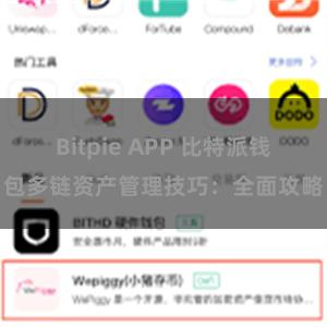 Bitpie APP 比特派钱包多链资产管理技巧：全面攻略