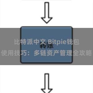 比特派中文 Bitpie钱包使用技巧：多链资产管理全攻略