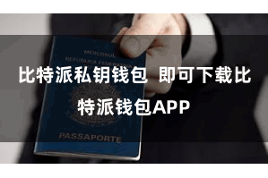 比特派私钥钱包  即可下载比特派钱包APP
