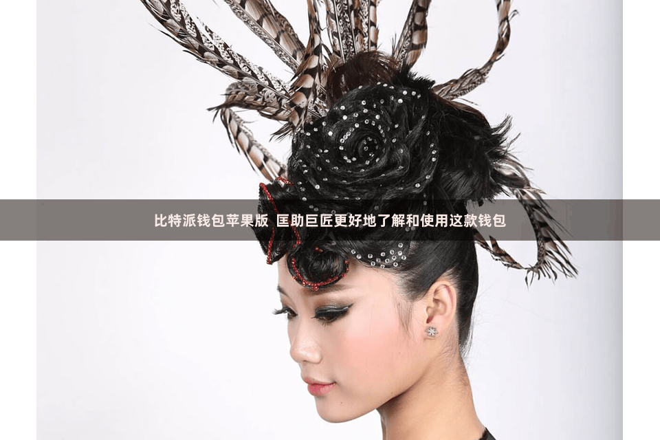 比特派钱包苹果版  匡助巨匠更好地了解和使用这款钱包
