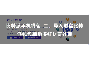比特派手机钱包  二、导入财富比特派钱包辅助多链财富处理