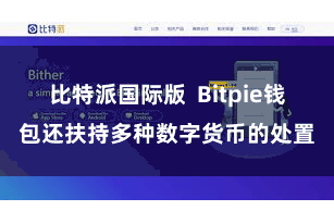 比特派国际版  Bitpie钱包还扶持多种数字货币的处置